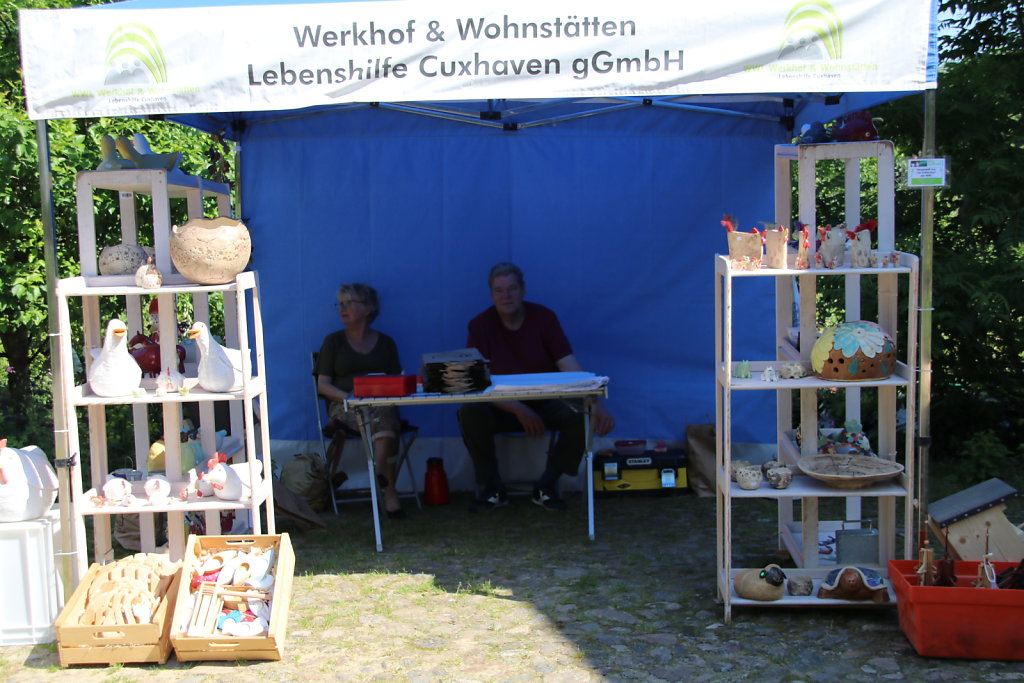 IMG-0782.JPG