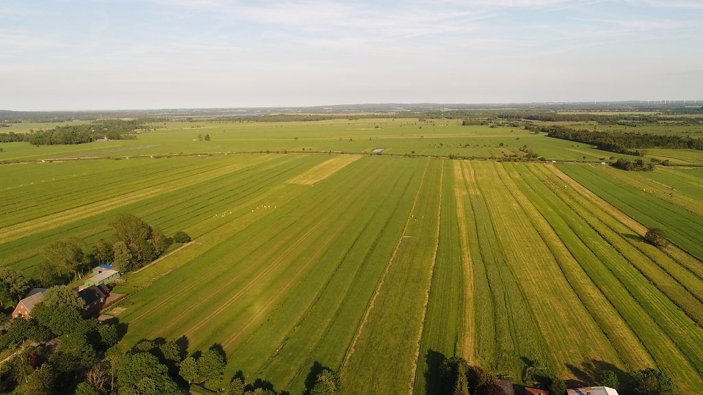 DJI-0131.JPG