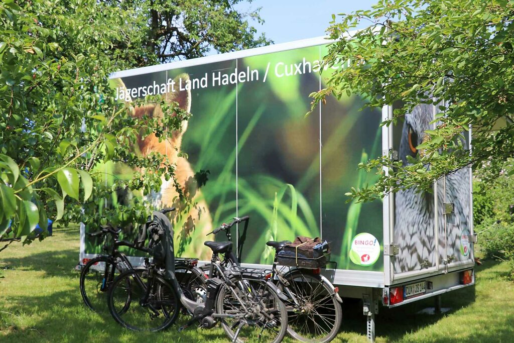 Sommerfest-23-005.jpg
